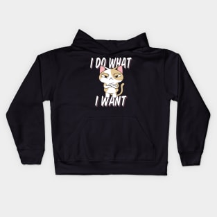 Kitty, But Make it Sassy! Kids Hoodie